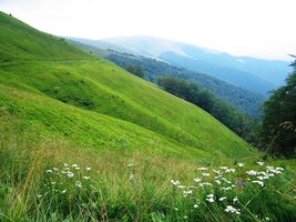 Jmenuje se to tu Polonina Boržava