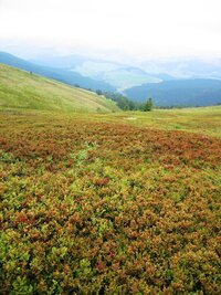 ale okolní planiny jsou úžasně barevné