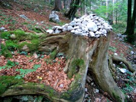 Úplně dole je "mužík" - každý zde přispěl svým kamínkem