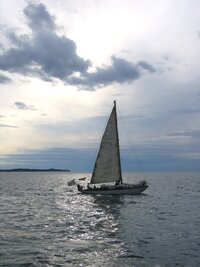 a bárky se vracejí na břeh