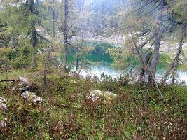 A tady se mezi stromy schovalo další