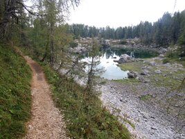 A tady už je pěšinka