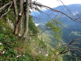 a zdola nám kyne Bohinjské jezero