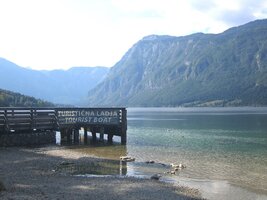 na břehu Bohinjského jezera