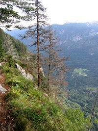 Po osvěžení pivem a zelňačkou se vracíme dolů