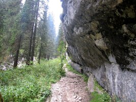 Tady je to jako v říši skřítků