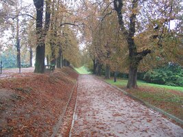 a nahoře jsou krásné kaštanové aleje