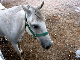 Tohle je jeden z nich