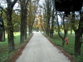 a na tuhle zámeckou alej