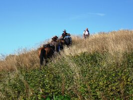 a vyšli v ústrety místním kovbojům