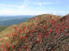a tady je v pozadí hraniční hřeben slovenských Bukovských vrchů