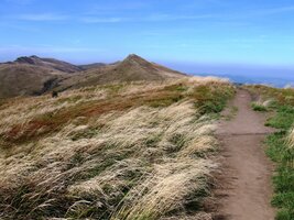 Dnes je větrno - i z fotky se to pozná