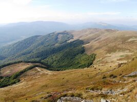 Zde poloniny plynule přechází do lesů