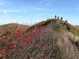 Davy turistů se tu valí jako procesí,