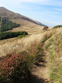 Traverzem hory Krzemieň vede polní cesta