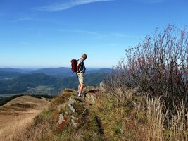 Turisté jsou z toho na větvi,