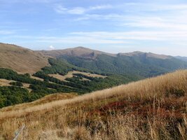 s lesíky plnými zvěře