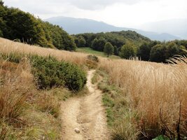 Po chvíli už cesta klesá dolů