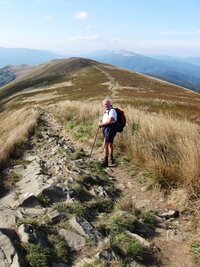 Všechno to vymyslel tento chlapík, zvaný Medvěd,