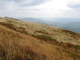 Mračna pomalu houstnou