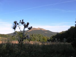 a pomalu sestoupili do sedla Wyzna