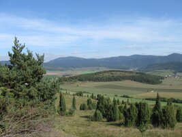 Vede odtud krásná cesta jalovcovými porosty