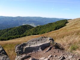 Kochat se je možno kameny,