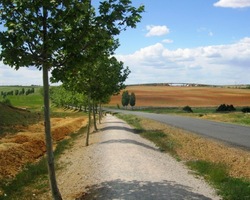 která spojovala města Astorga a Bordeaux