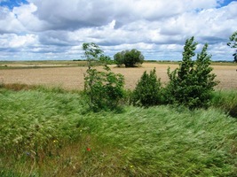 krajinou, známou z obrazů Vincenta van Gogha,