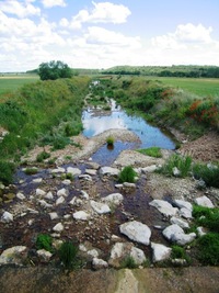 a nikoliv Arlés, kde Vincent tyto scenérie maloval