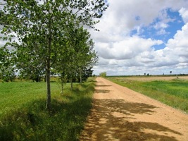 Jenže vše odpovídá -