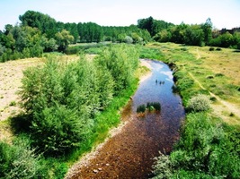 Siesta končí - je třeba zase vyrazit