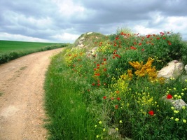 a nekonečných plání