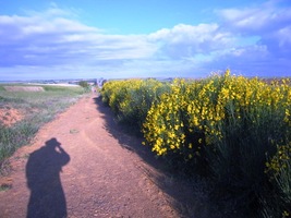 Ráno příštího dne je, kupodivu, mrazivé