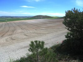 a polí pohnojených vápencovou spraší