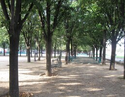 V parku se tu hraje petange,