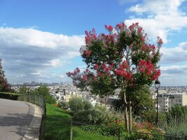 Pohled na město na sklonku léta byl ovšem úžasný