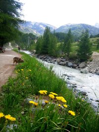 Ale to už jsem dole