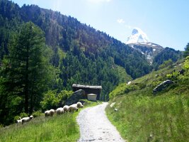 Procházím vesnicí Zmutt