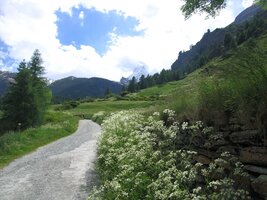 Hned mu jdu alespoň kousek naproti