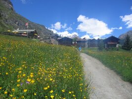 a vše vypadá jako kdysi