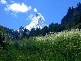 ba přímo okázale panáčkuje