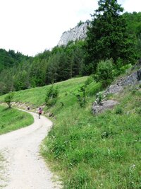 nad níž se týčí bílé vápencové skály