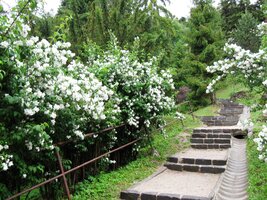 a prošli si jeho parky