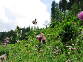 a mají konečně čas zastavit se nad krásou hor