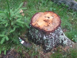 Tahle divná značka už byla nasáklá vodou