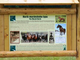 Koňů bylo ale víc na ceduli než venku na louce