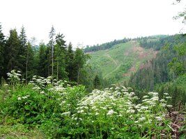 Dopoledne máme celkem slušné počasí