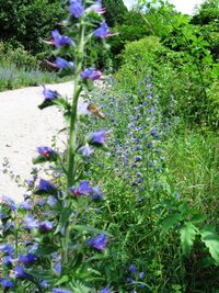 a pak už sestup dolů do Jelšavy