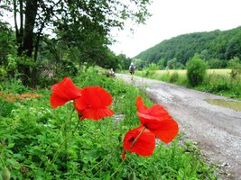 posledních pár kilometrů letošní deštivé dovolené